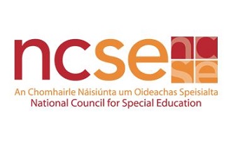 FAQ / Understanding the Roles of NCSE, SESS, SENO, IEP, SNA - SchoolDays.ie